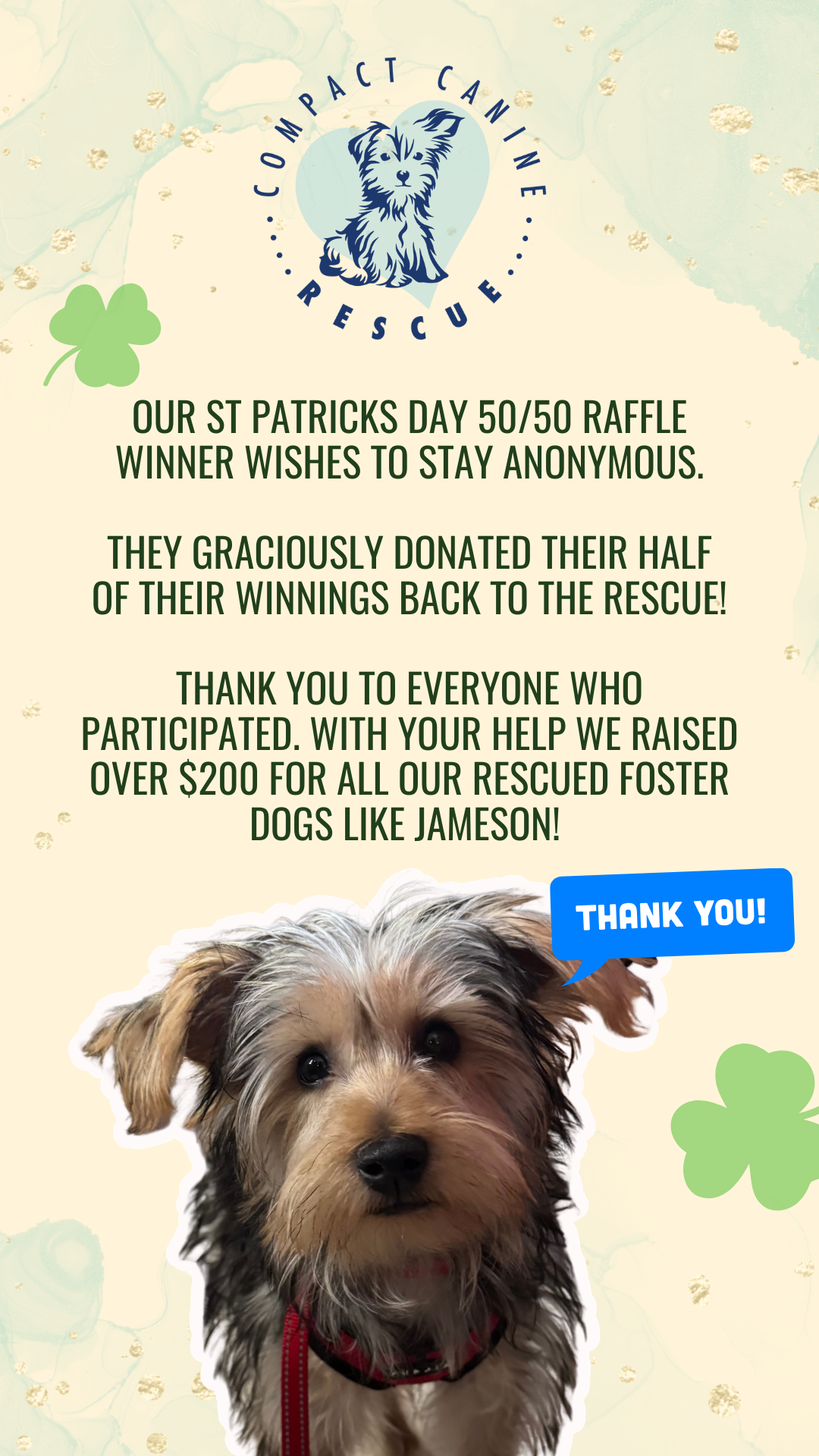 Instagram Story graphic with a cream background and green clovers. Text states that the raffle winner wishes to remain anonymous and donated their winnings back to the rescue, raising over $200. Features a close-up photo of a scruffy brown and grey dog named Jameson.