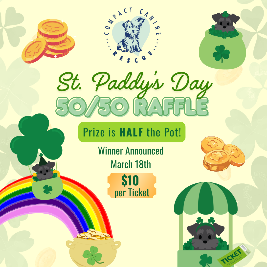 St. Paddy's Day 50/50 Raffle flyer for Compact Canine Rescue. Includes the organization's logo and text stating: 'Prize is HALF the Pot!', 'Winner Announced March 18th', and '$10 per Ticket'. The design features festive graphics of a rainbow, pot of gold, and small dogs wearing clovers.