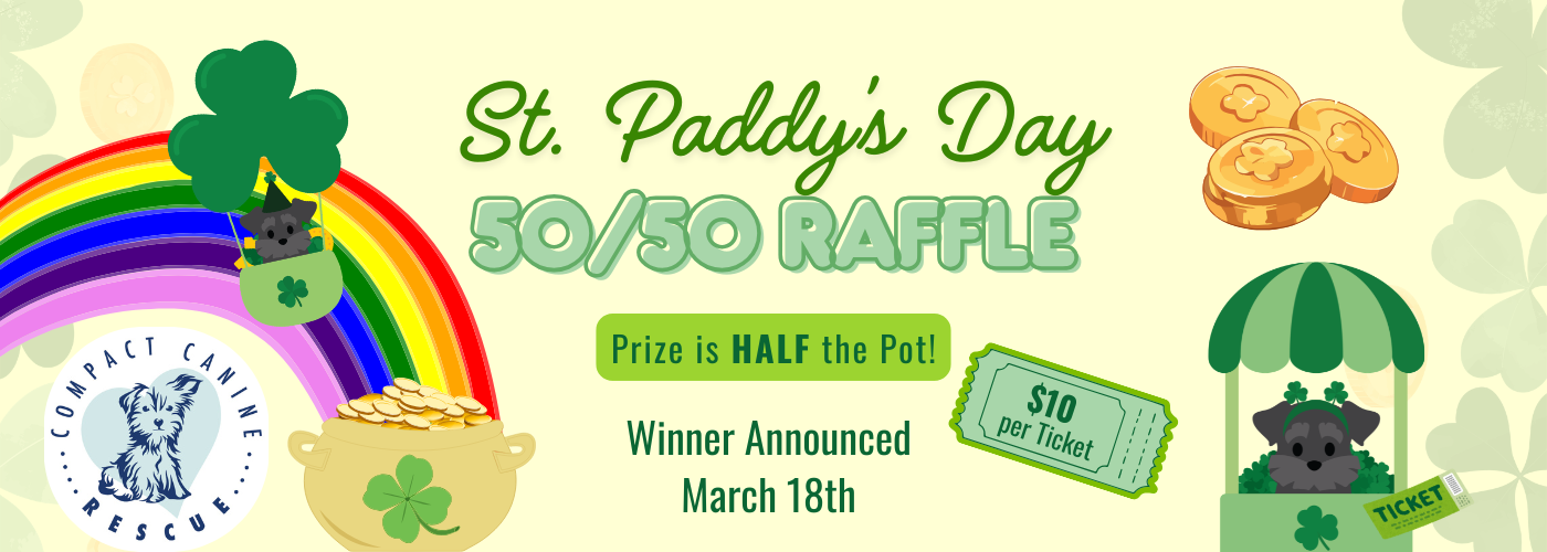 Promotional graphic for Compact Canine Rescue's St. Paddy's Day 50/50 Raffle. It features the organization's logo and announcement that the winner will be drawn on March 18th. Prize is half the pot; tickets are $10 each.